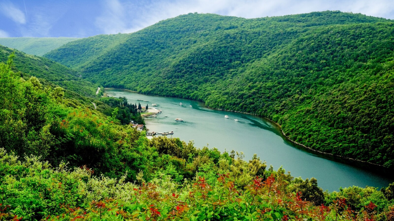 limski kanal-9 Limski kanal u Istri okružen bujnim zelenilom, snimljen iz zraka