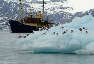 otocje-svalbard-zimi