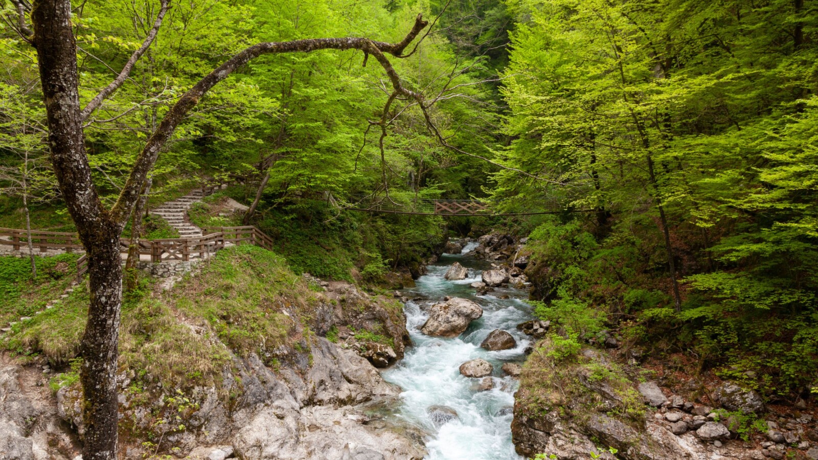 Tolminska korita u Sloveniji, slikoviti kanjon s kristalno čistom rijekom koja teče između stijena, okružen gustim zelenim šumama i drvenim mostom koji prelazi preko rijeke.
