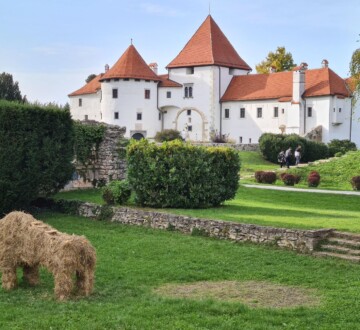 stari-grad-varazdin Stari grad Varaždin, srednjovjekovna utvrda s crvenim krovovima, okružena zelenilom i skulpturom psa od slame.