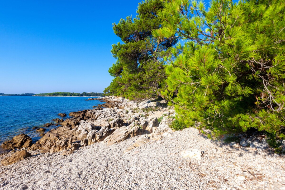 zlatni-rt-rovinj-more