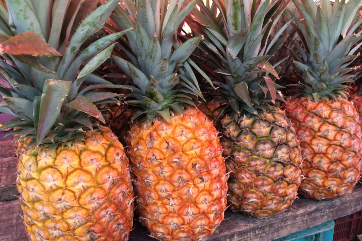 Avionsko voće ananas