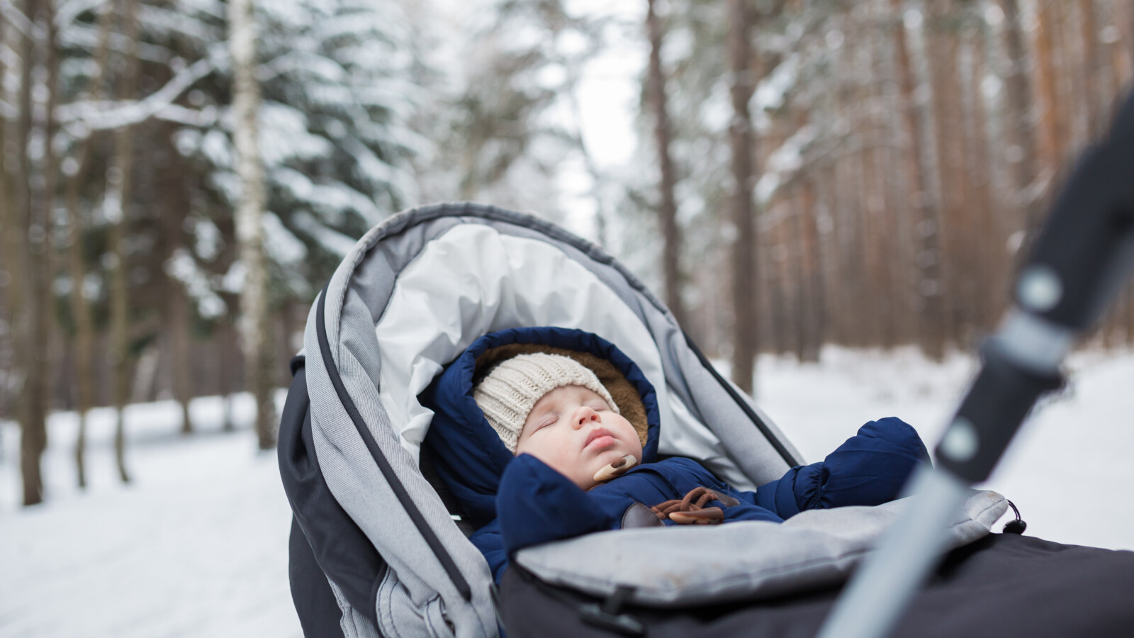 Portrait,Of,Sleeping,Baby,In,Winter,Park