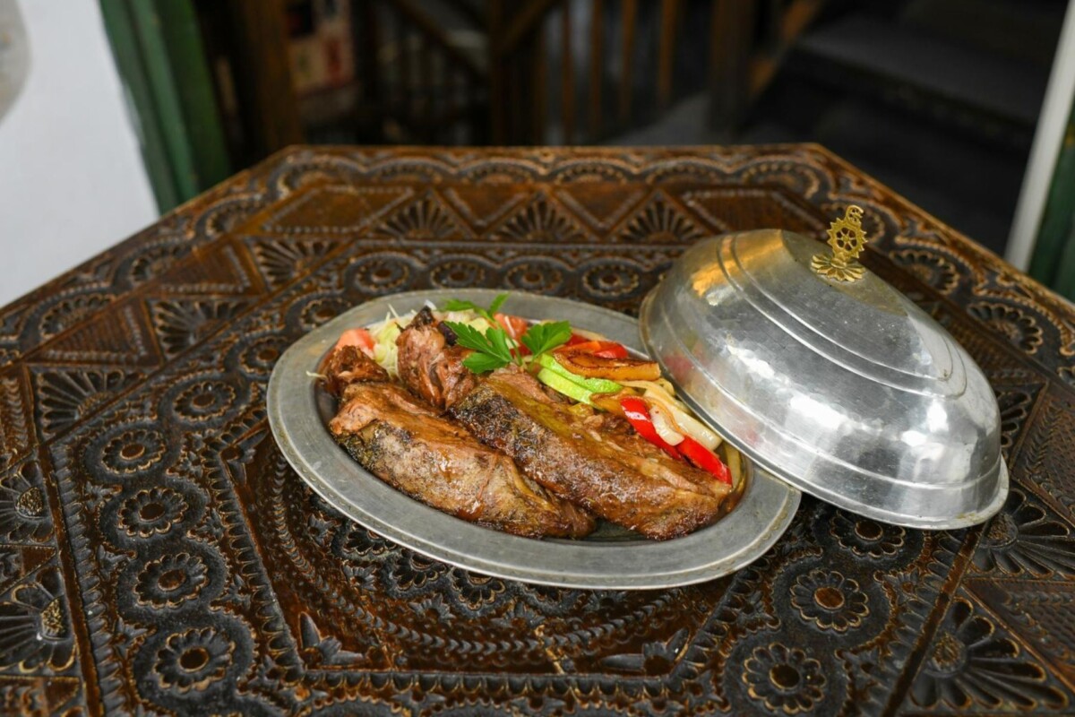 inat kuca3