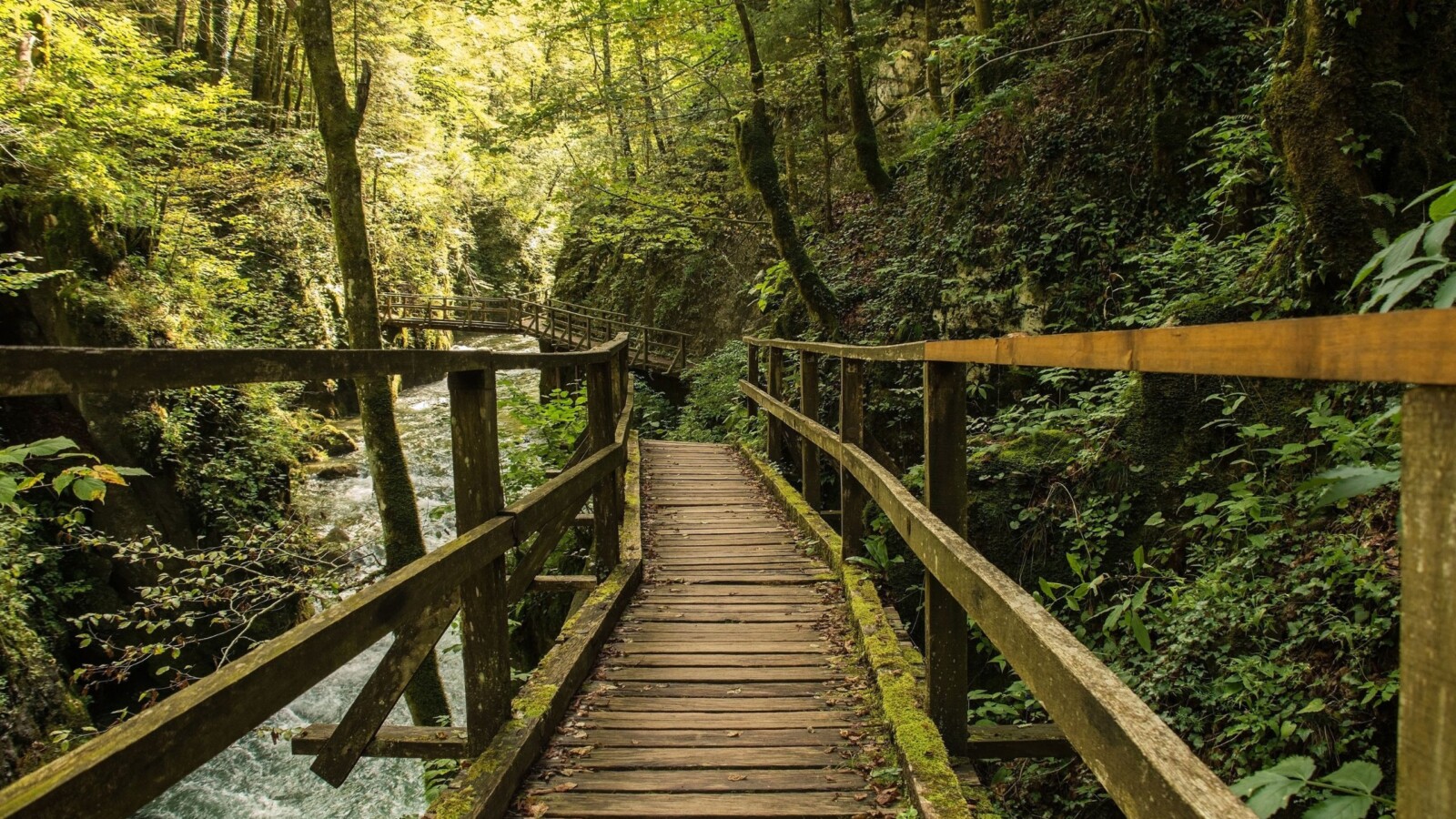 kamacnik-kanjon Drvena šetnica uzdiže se iznad bistre planinske rijeke u kanjonu Kamačnik, okruženom gustom šumom i strmim liticama koje stvaraju dojam divlje i netaknute prirode.