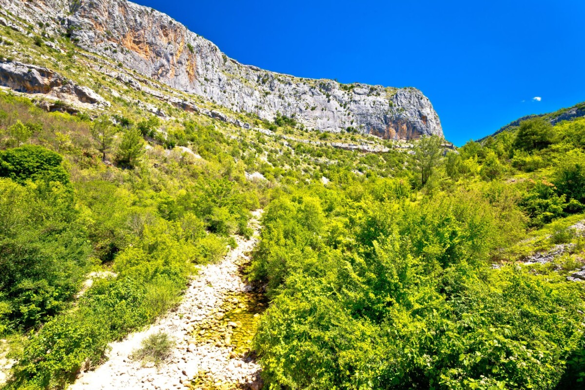 kanjon-rijeka-čikola Brdovit i krševit teren u okolici rijeke Čikole, prekriven zelenom vegetacijom s impresivnim stijenama pod vedrim plavim nebom.