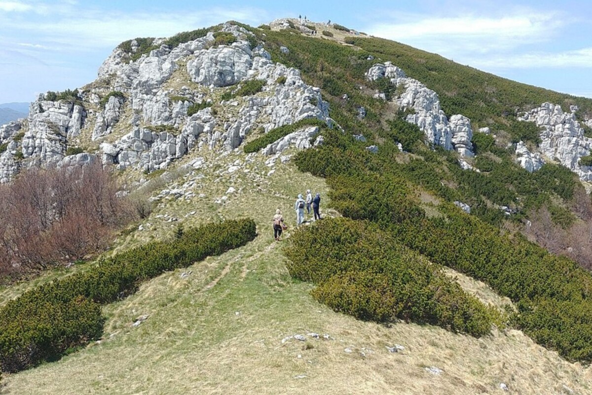 snježnik-1 Planina Snježnik