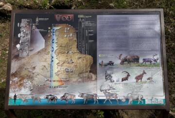 spilja-vindija-informativni-pano Informativni pano u špilji Vindija, Hrvatsko zagorje – prikaz arheoloških slojeva i fosilnih nalaza neandertalaca te prapovijesnih životinja koje su nekad nastanjivale ovo područje.