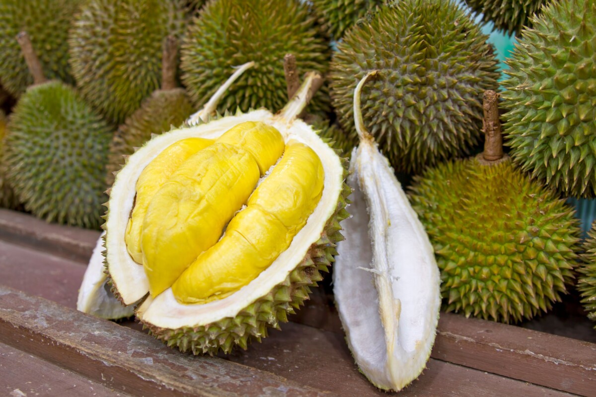 Svježi durian, poznat kao 