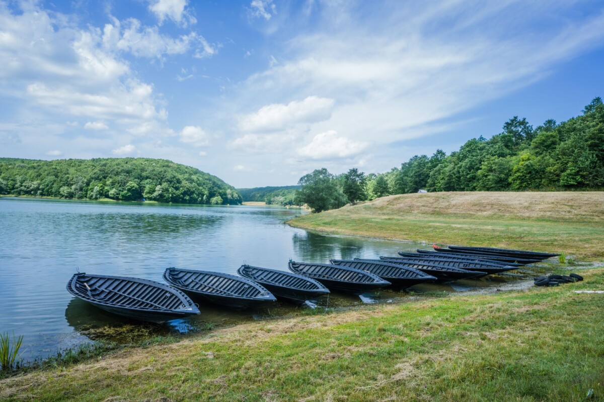 jezero-borovik-camci-ladje