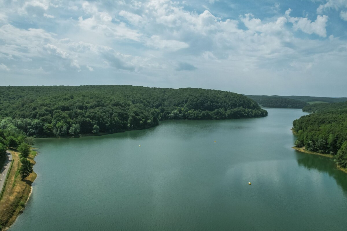 jezero-borovik-suma-zelenilo