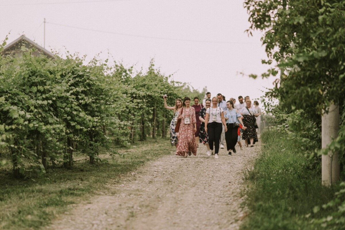jezero-borovik-vinograd-mandicevac