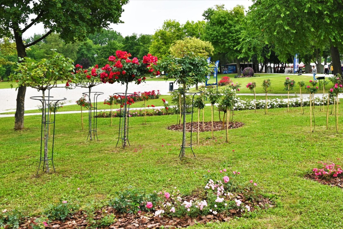 floraart-bundek Izložba Floraart na jezeru Bundek