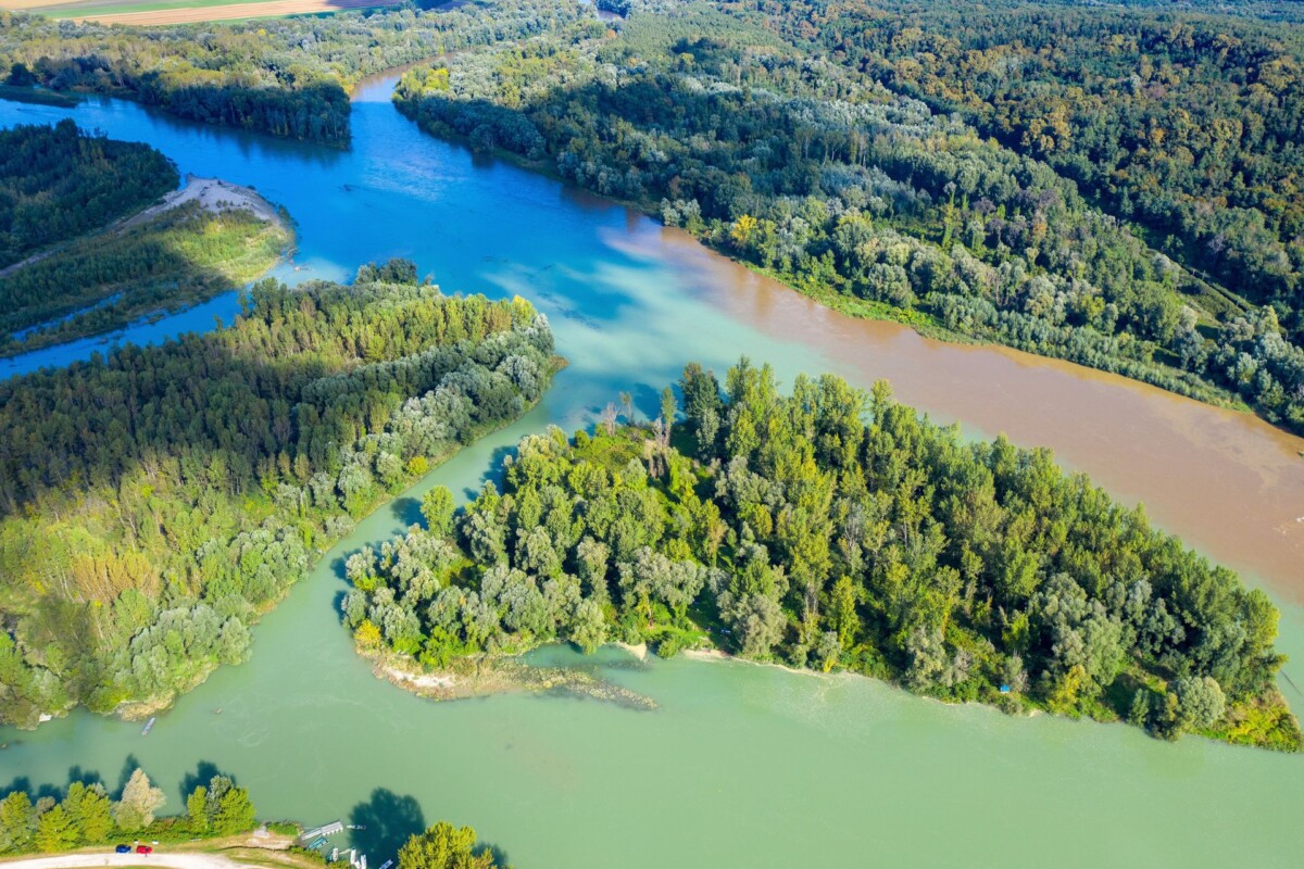 Zračni pogled na riječne rukavce i šumski pejzaž kod Halaš Čarde, idealnog mjesta za outdoor aktivnosti