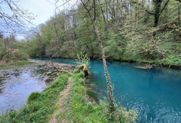 izvor-rijeke-krupe-semič-bela-krajina-slovenija-4