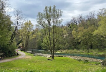 izvor-rijeke-krupe-semič-bela-krajina-slovenija-6