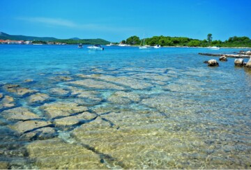 Plitka uvala s kristalno čistim morem i kamenitim dnom na otoku Babcu