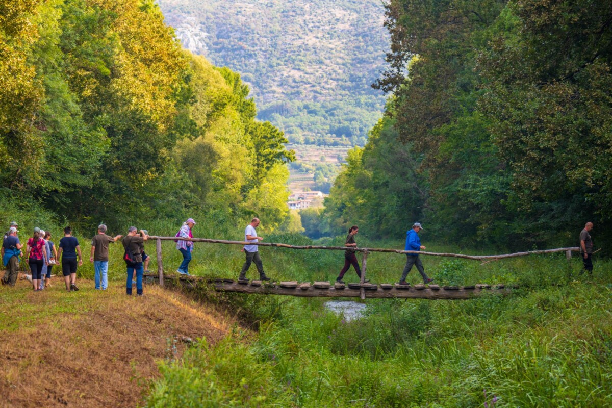 Motovunska suma3