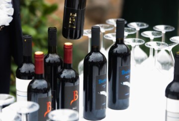 dobricic-vino