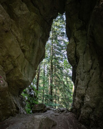 gorski-kotar2