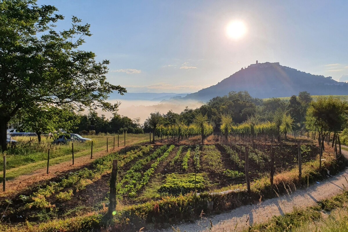 najljepši vidikovci u Istri: motovun