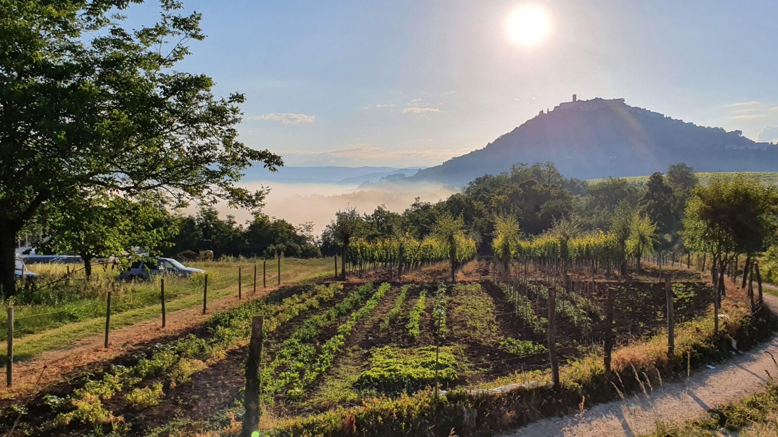 istra-pogled-na-motovun najljepši vidikovci u Istri: motovun