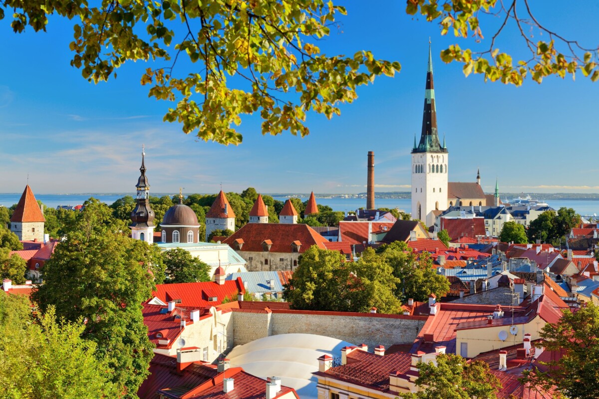 Pogled na stari grad Tallinna s crkvom sv. Olafa i crvenim krovovima pod krošnjama drveća. Glavni gradovi baltičkih država su prekrasni, a posebno se ističe Tallin.