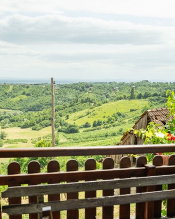 Pogled s terase restorana Karlo na brežuljkasti pejzaž i vinograde Plešivice.