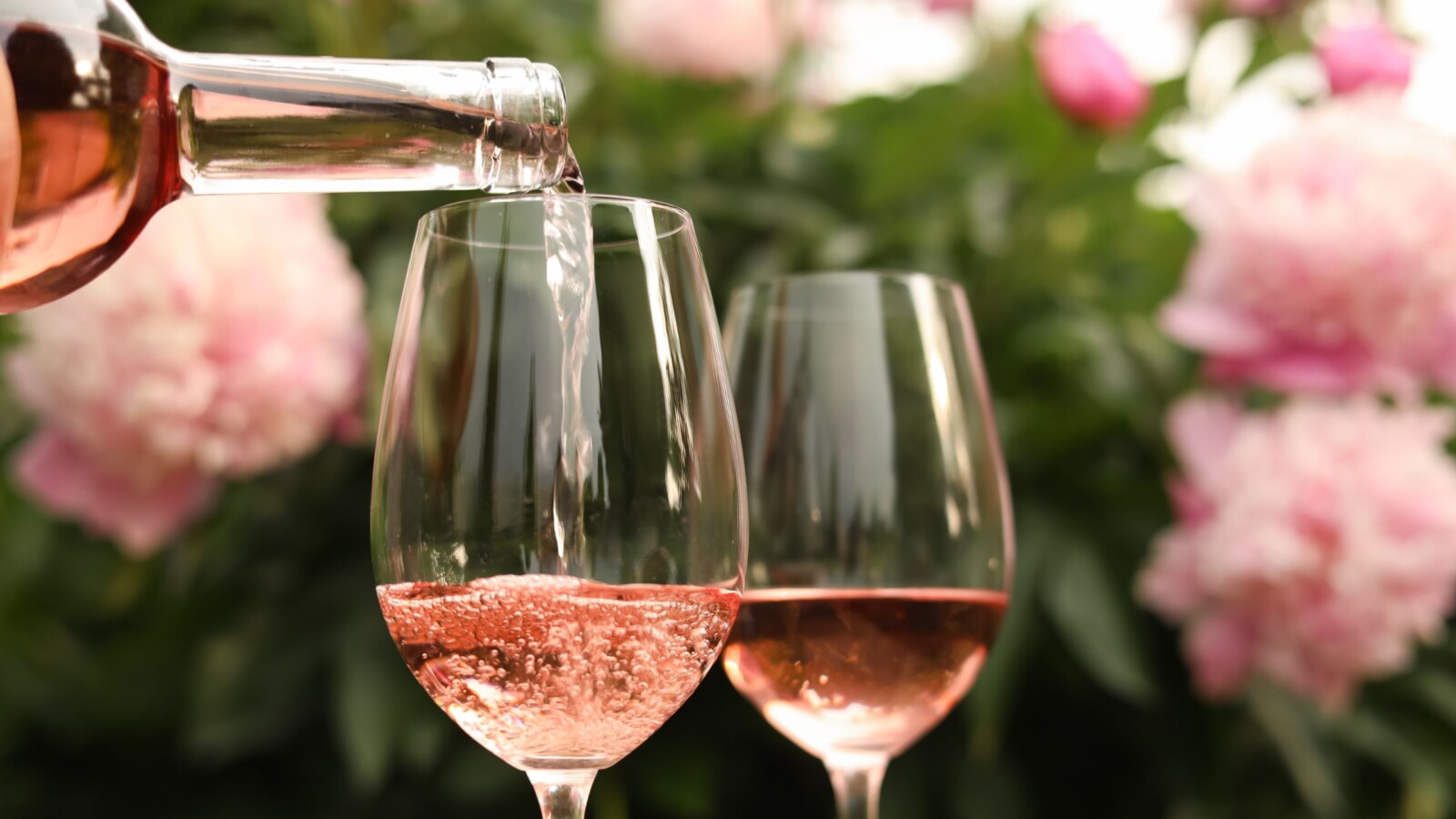rose-vino