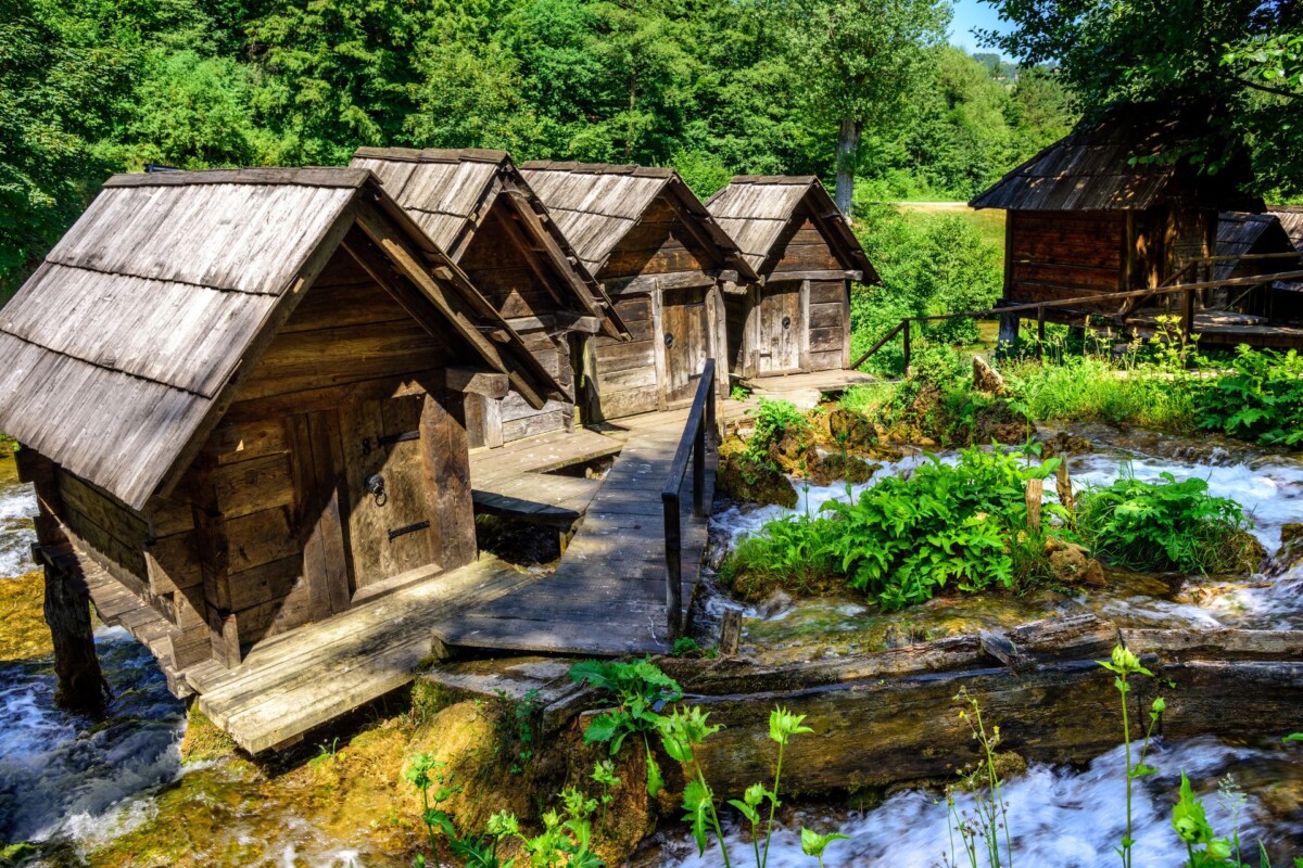jajce-mlinovi-pliva