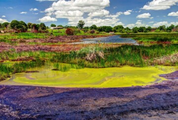 jezero-pitch-2