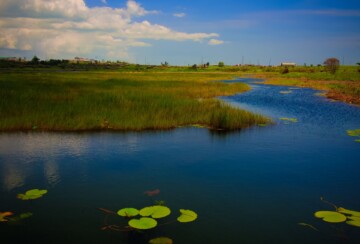jezero-pitch-3