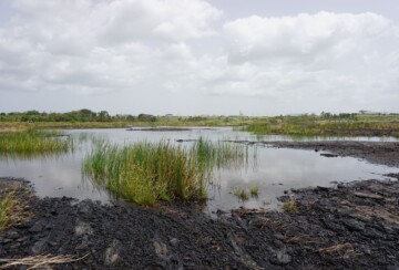 jezero-pitch-4
