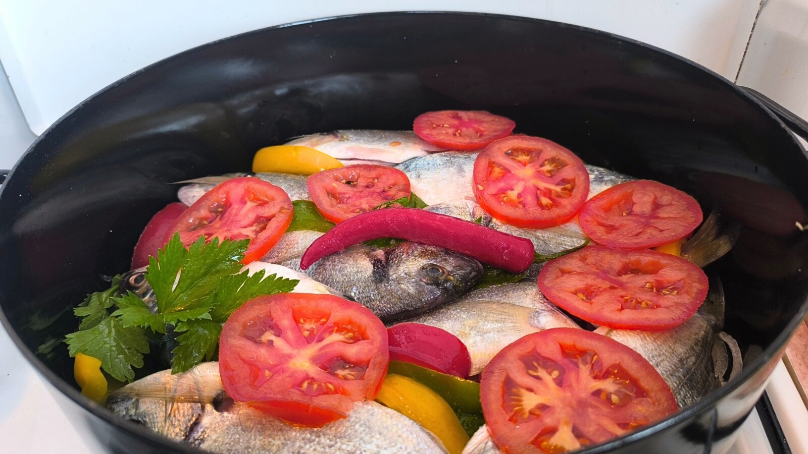 najbolji-recept-za-brudet Svježa riba složena u loncu s paprikom, rajčicama i listovima celera, pripremljena za kuhanje tradicionalnog dalmatinskog brudeta. Najbolji recept za brudet s bijelom ribom.