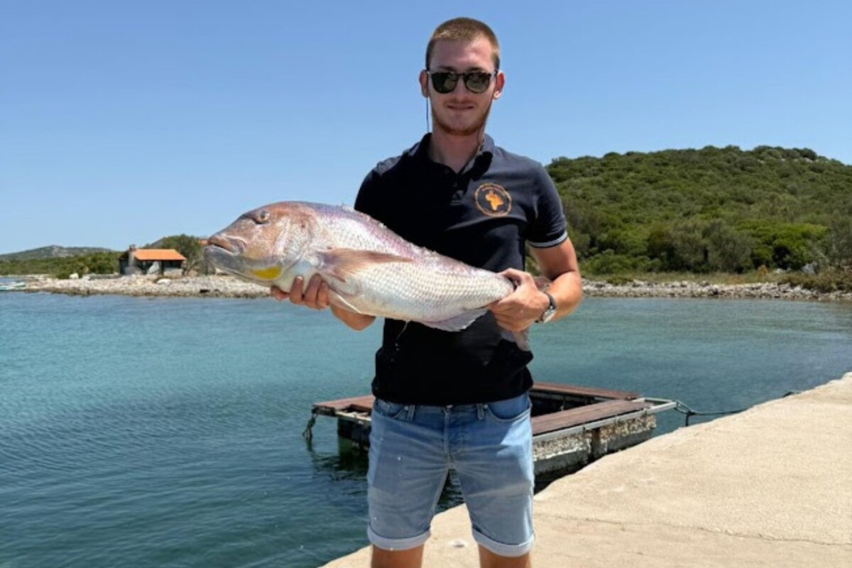 otok Zizanj konoba Maslina Nikola Palaskov