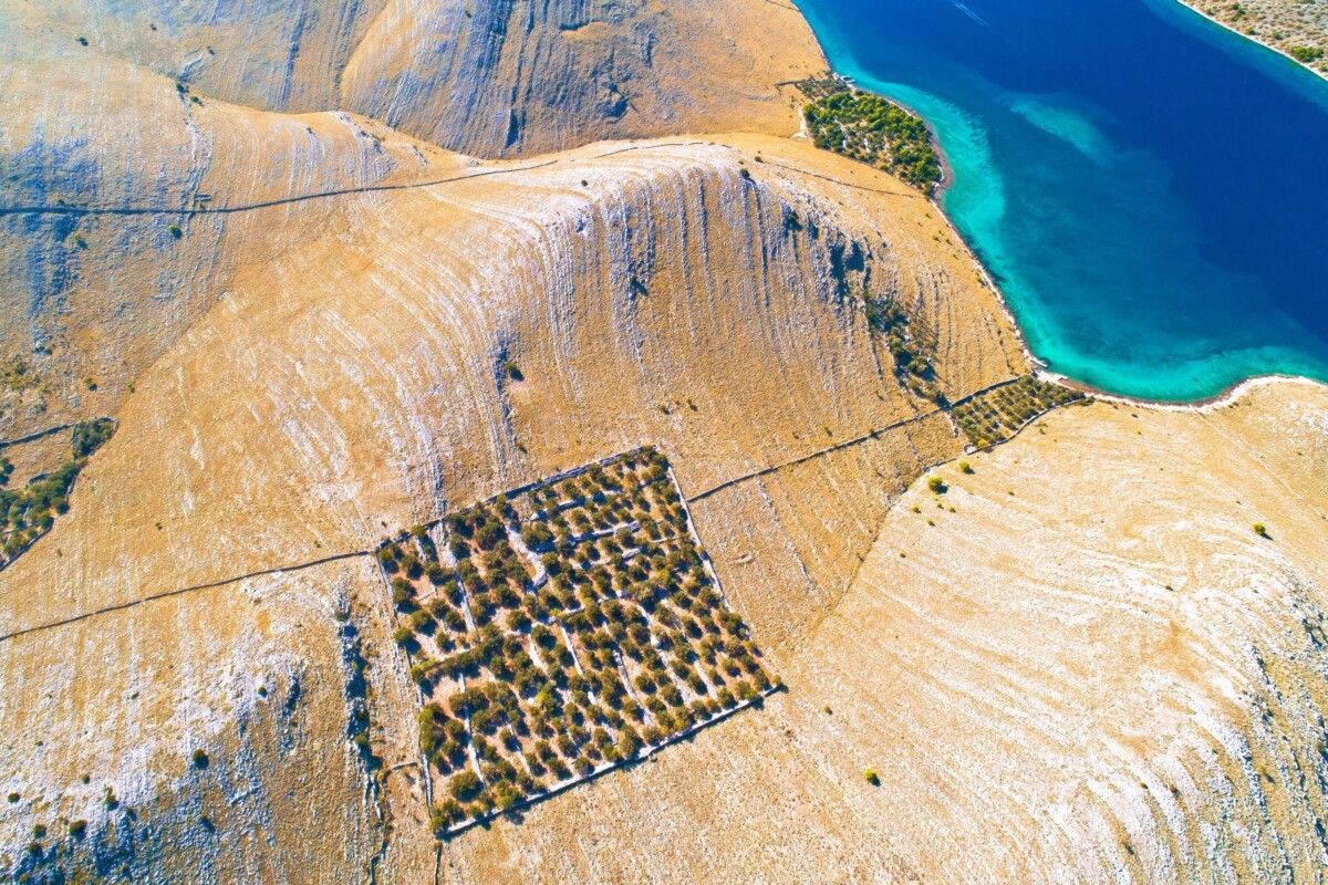 otok-kornat-2