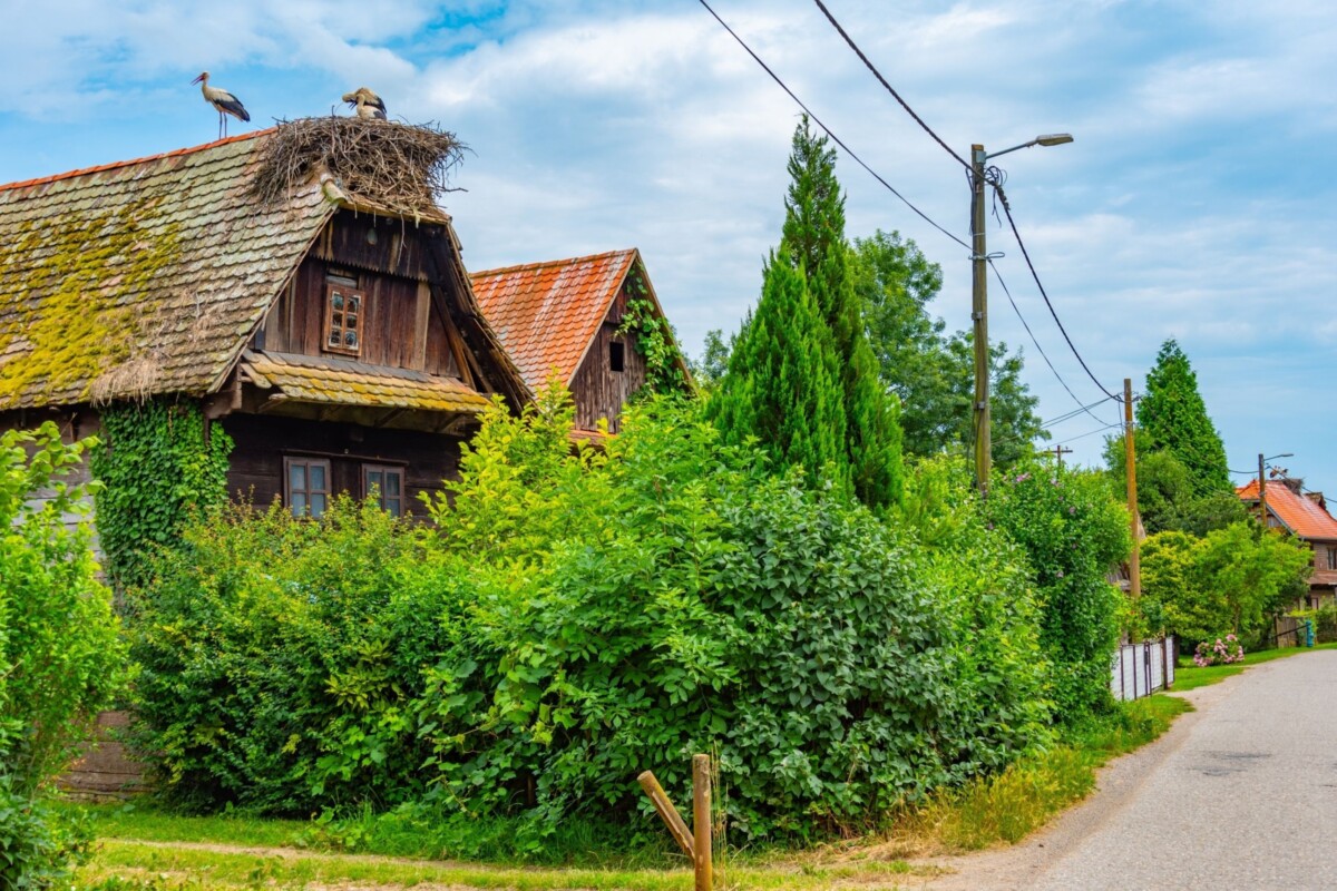 Selo Krapje i drvene tradicionalne kuće u zelenilu