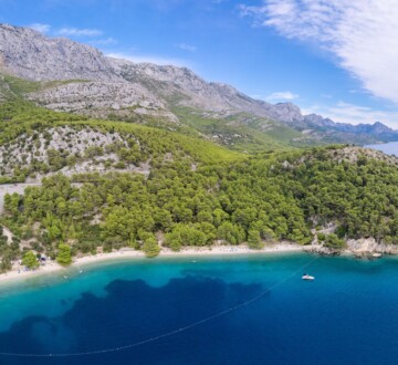 velika-duba-makarska-rivijera Panoramski pogled na plažu Velika Duba u Živogošću s kristalno čistim morem, gustom borovom šumom i planinskim pejzažem u pozadini.