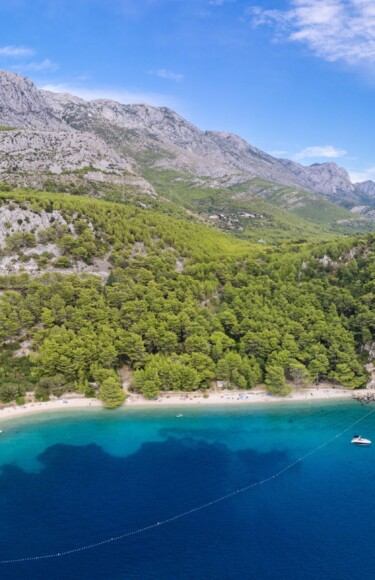 velika-duba-makarska-rivijera Panoramski pogled na plažu Velika Duba u Živogošću s kristalno čistim morem, gustom borovom šumom i planinskim pejzažem u pozadini.