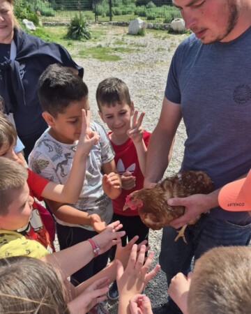 Program na farmi magaraca Šmrika