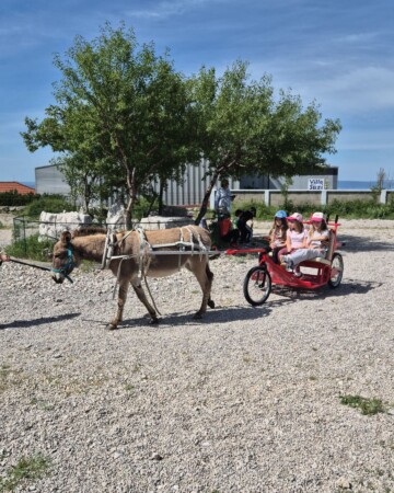 Farma magaraca Šmrika