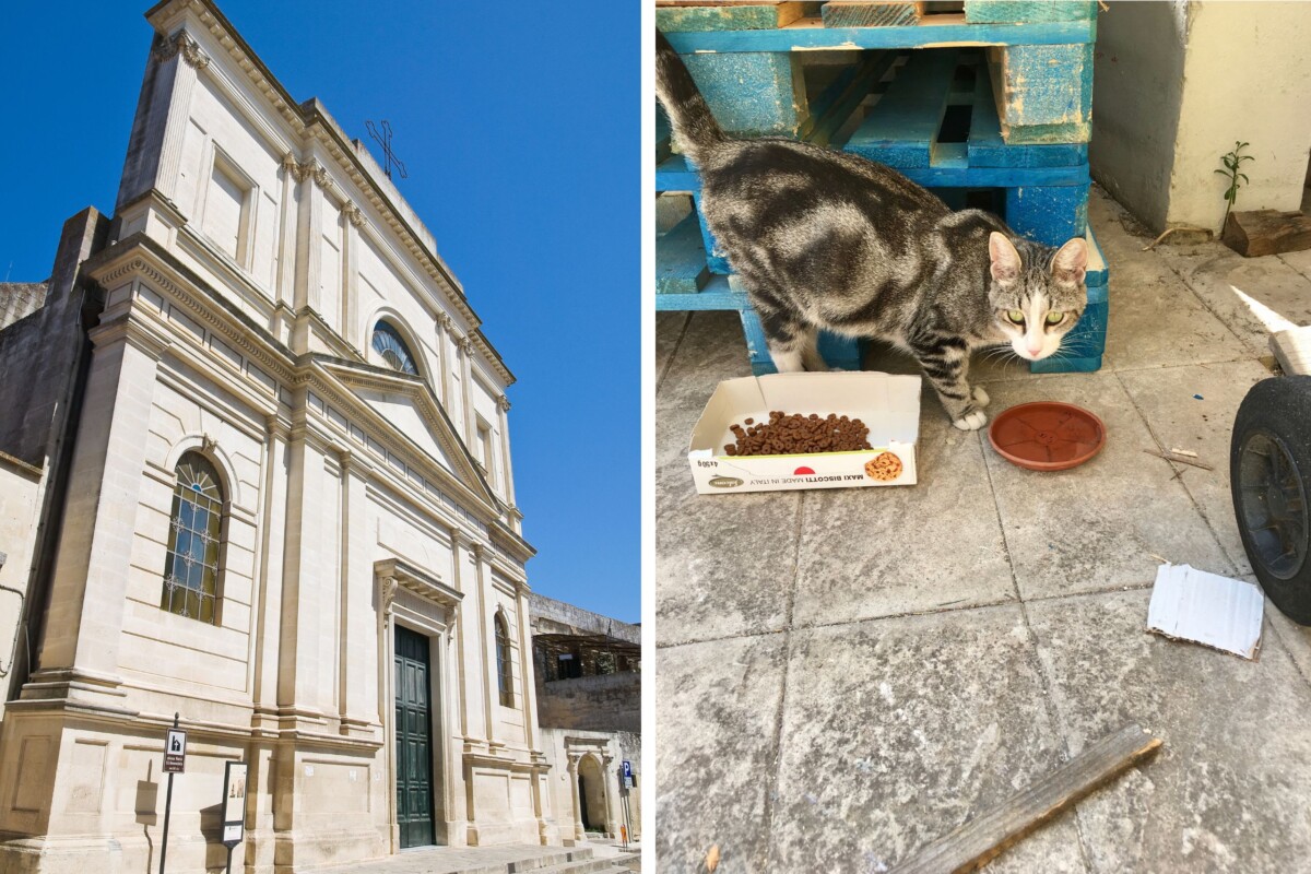 castrignano-de-greci