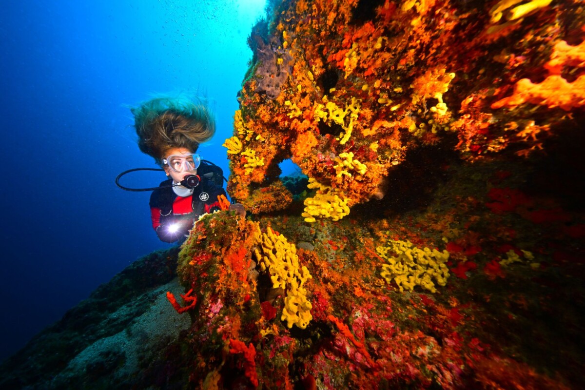 fotografija-ivana-grgić-Mares-Underwater-Photo-Marathon-Cup-1