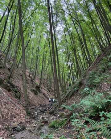 petrinja-adrenalinska-ruta-vražji-skok