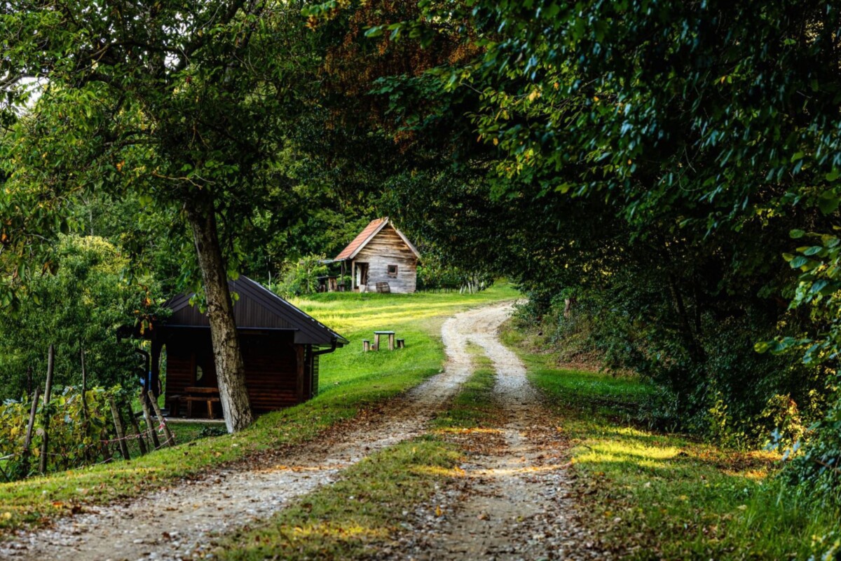 Poučna staza Šumarica