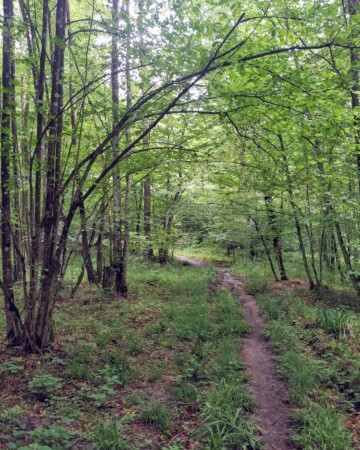 Poučna staza Šumarica