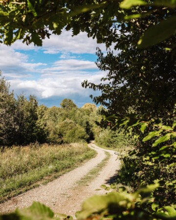 Poučna staza Šumarica