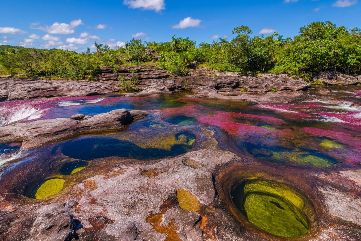 Caño-Cristales-tekuća duga-Kolumbija -3