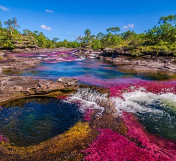 Caño-Cristales-tekuća duga-Kolumbija