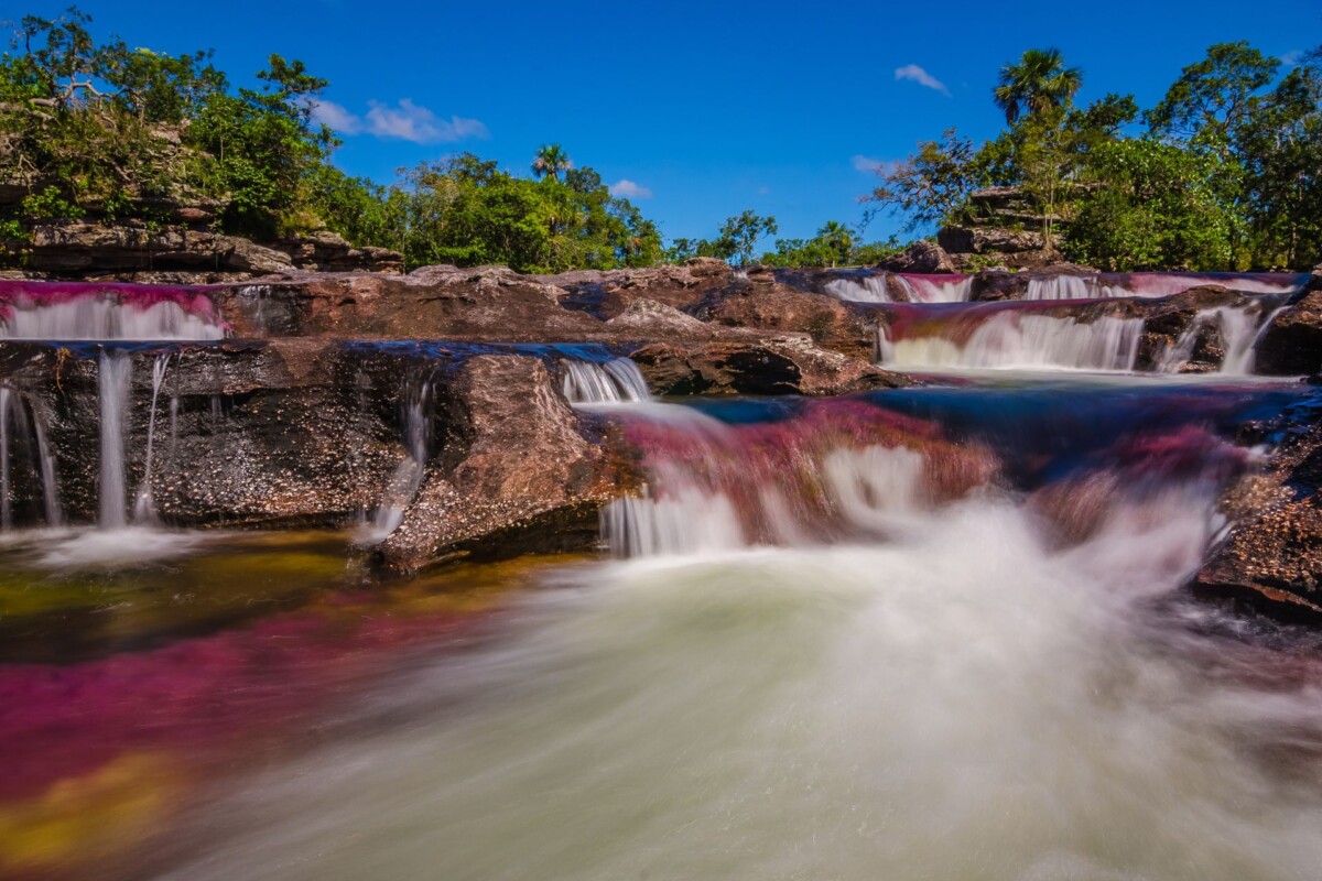 Caño-Cristales-tekuća duga-Kolumbija -8